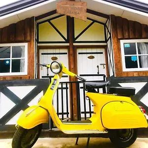 book here